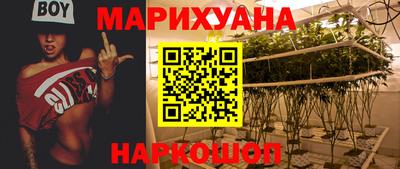 гашик Малгобек